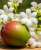 Gemini_Generated_Image_wdwbmgwdwbmgwdwb.png